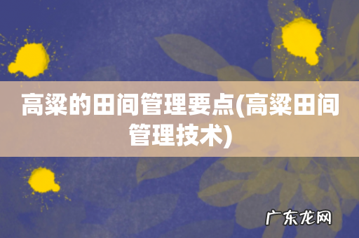 高粱田间管理技术 高粱的田间管理要点
