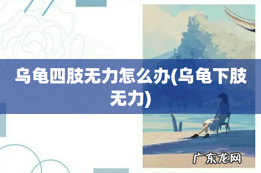 乌龟下肢无力 乌龟四肢无力怎么办