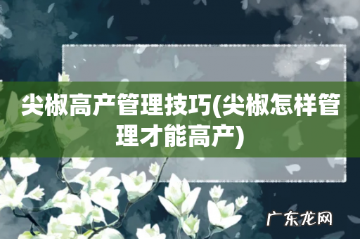 尖椒怎样管理才能高产 尖椒高产管理技巧