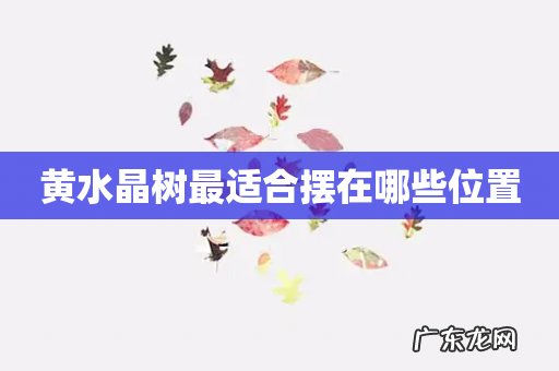 黄水晶树最适合摆在哪些位置