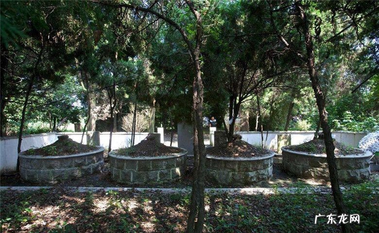 坟上树被砍有什么影响 祖坟上树被别人砍了风水