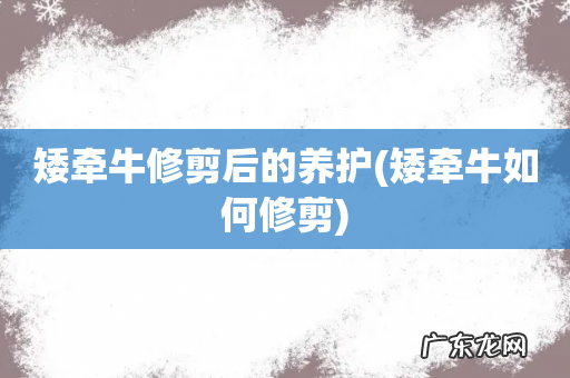 矮牵牛如何修剪 矮牵牛修剪后的养护