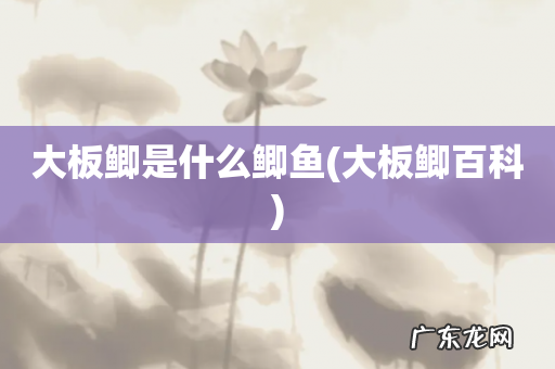 大板鲫百科 大板鲫是什么鲫鱼