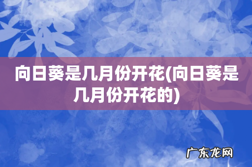 向日葵是几月份开花的 向日葵是几月份开花