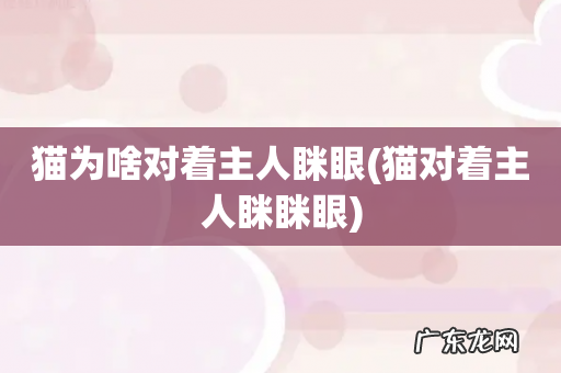 猫对着主人眯眯眼 猫为啥对着主人眯眼
