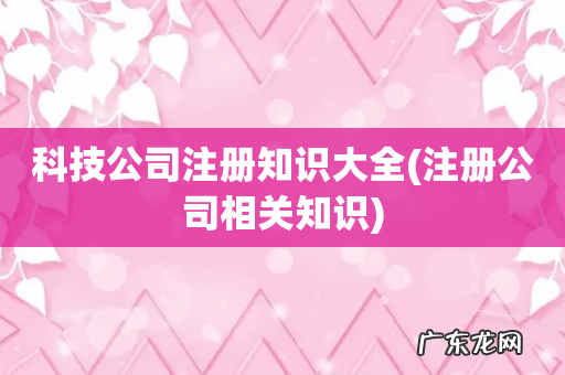 注册公司相关知识 科技公司注册知识大全