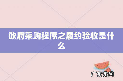政府采购程序之履约验收是什么