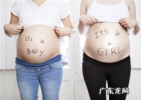 清宫表2013生男生女图 清宫表2013生男生女图