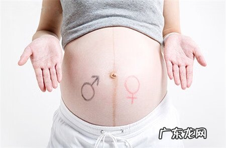清宫表2013生男生女图 清宫表2013生男生女图