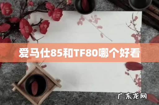 爱马仕85和TF80哪个好看