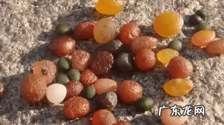 石山如何寻找风水宝地 风水宝地有石头