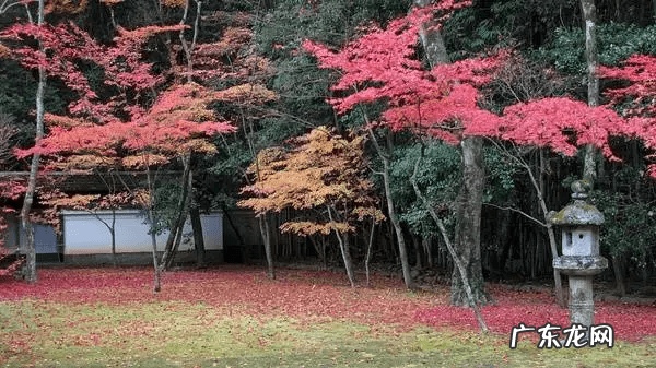 海花岛风水 河中小岛风水好不好