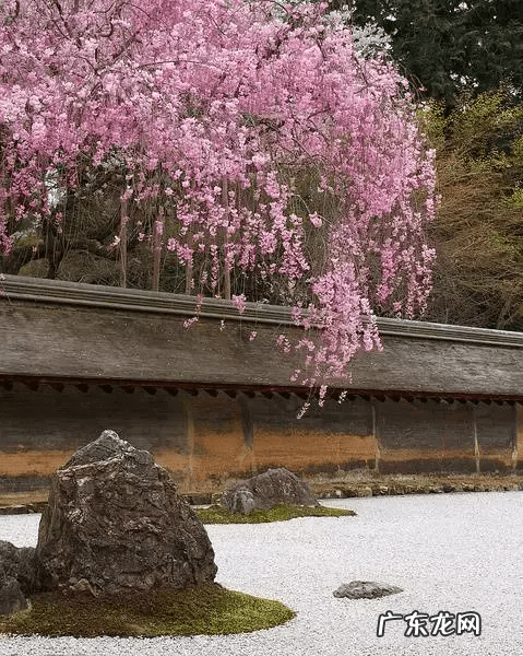 海花岛风水 河中小岛风水好不好