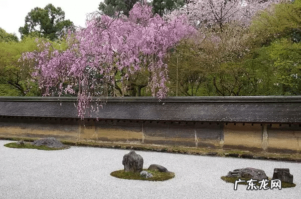 海花岛风水 河中小岛风水好不好