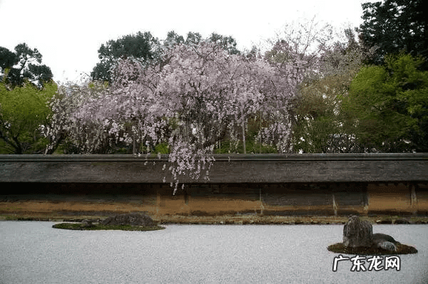 海花岛风水 河中小岛风水好不好