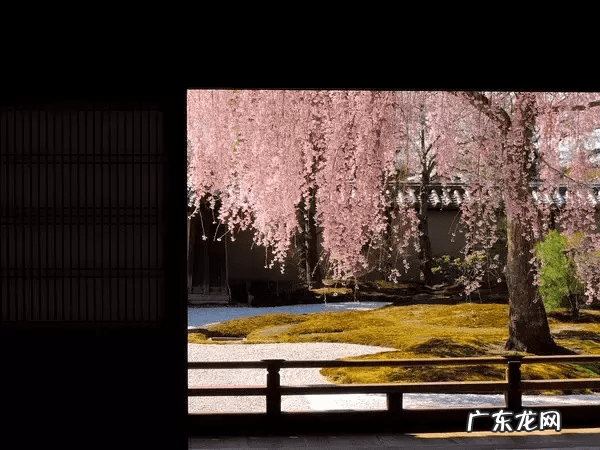 海花岛风水 河中小岛风水好不好