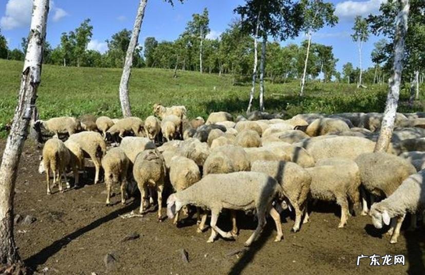 帝王风水故事 帝王选风水的故事有哪些