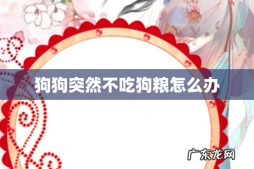 狗狗突然不吃狗粮怎么办