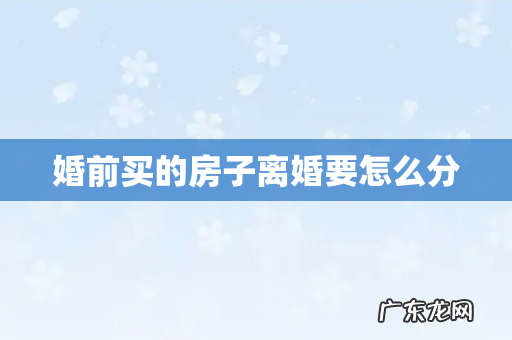 婚前买的房子离婚要怎么分