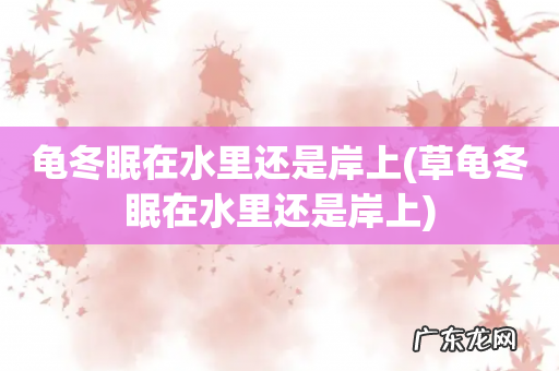 草龟冬眠在水里还是岸上 龟冬眠在水里还是岸上