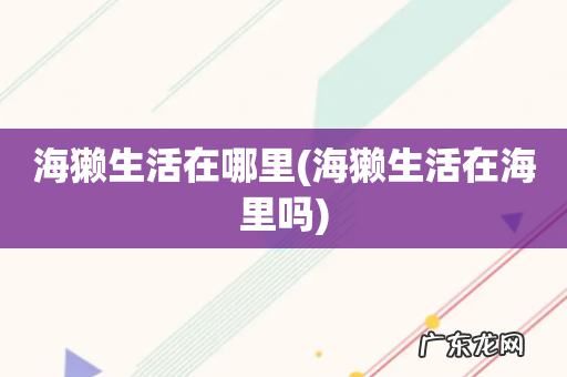 海獭生活在海里吗 海獭生活在哪里