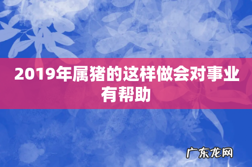 2019年属猪的这样做会对事业有帮助