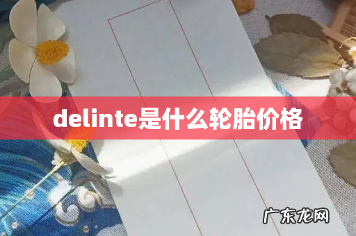 delinte是什么轮胎价格