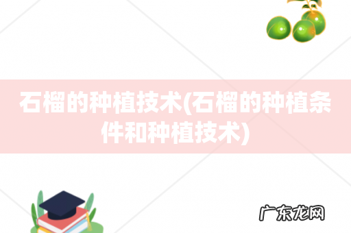 石榴的种植条件和种植技术 石榴的种植技术