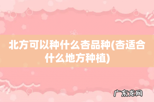 杏适合什么地方种植 北方可以种什么杏品种