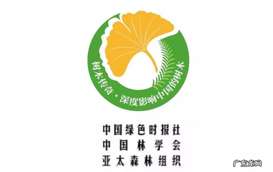 水杉树风水说法 杉树的风水作用