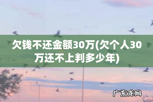 欠个人30万还不上判多少年 欠钱不还金额30万