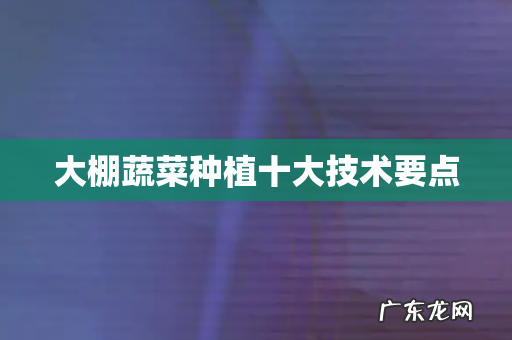 大棚蔬菜种植十大技术要点