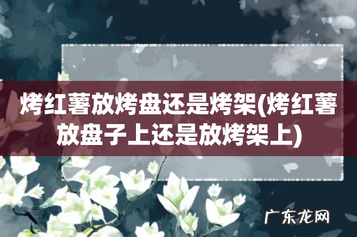 烤红薯放盘子上还是放烤架上 烤红薯放烤盘还是烤架