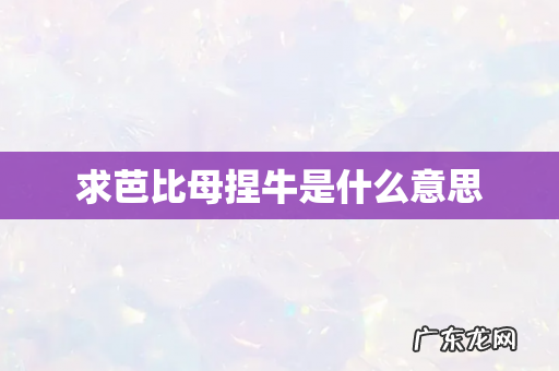 求芭比母捏牛是什么意思