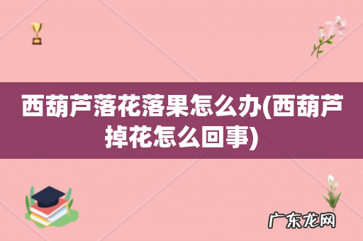 西葫芦掉花怎么回事 西葫芦落花落果怎么办
