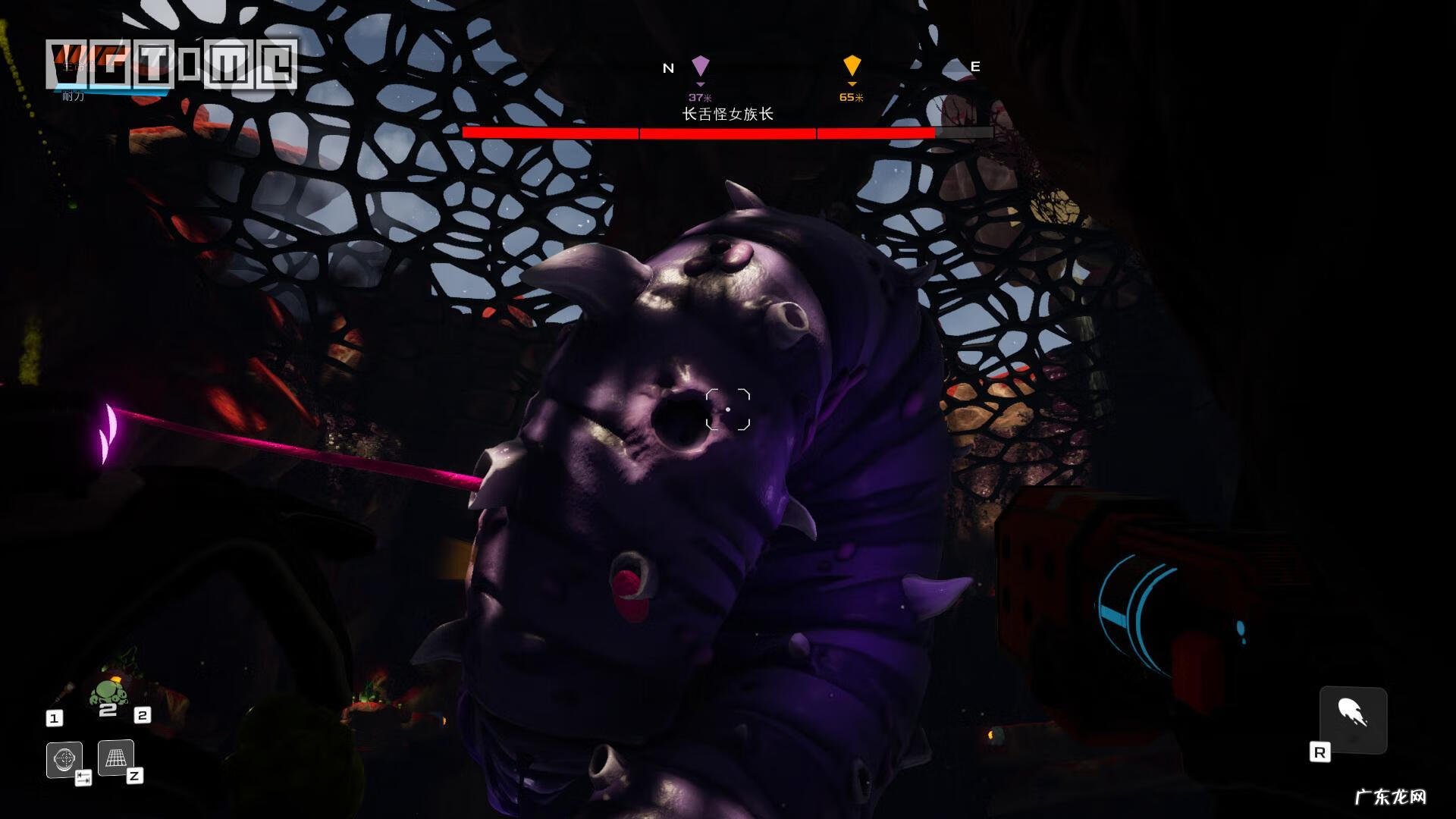 狂野地球图片大全 狂野星球官网入口