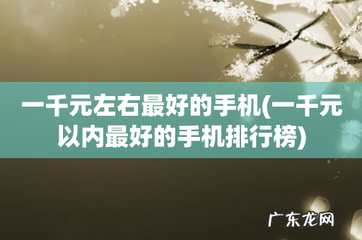 一千元以内最好的手机排行榜 一千元左右最好的手机