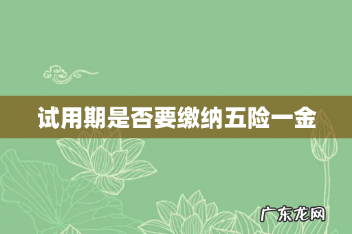 试用期是否要缴纳五险一金