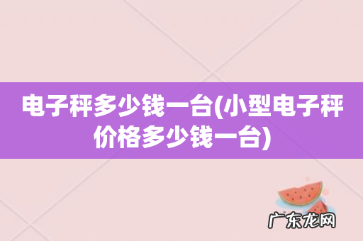 小型电子秤价格多少钱一台 电子秤多少钱一台