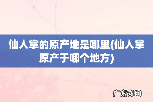 仙人掌原产于哪个地方 仙人掌的原产地是哪里