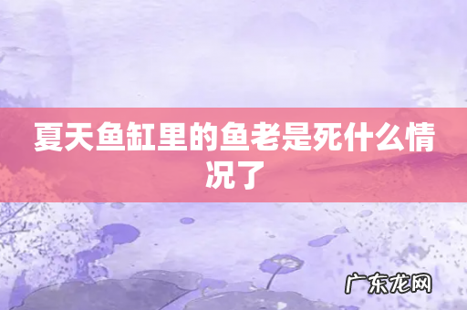 夏天鱼缸里的鱼老是死什么情况了