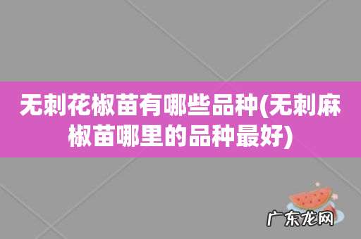 无刺麻椒苗哪里的品种最好 无刺花椒苗有哪些品种