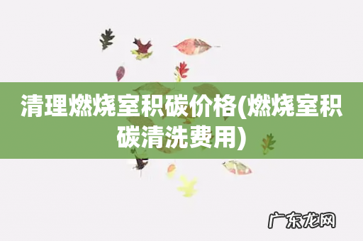 燃烧室积碳清洗费用 清理燃烧室积碳价格