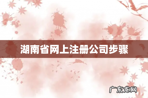 湖南省网上注册公司步骤