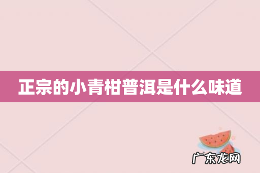 正宗的小青柑普洱是什么味道