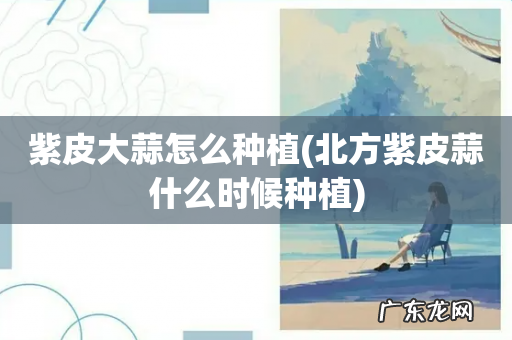 北方紫皮蒜什么时候种植 紫皮大蒜怎么种植