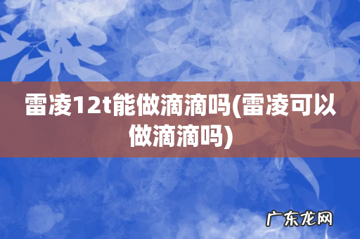 雷凌可以做滴滴吗 雷凌12t能做滴滴吗