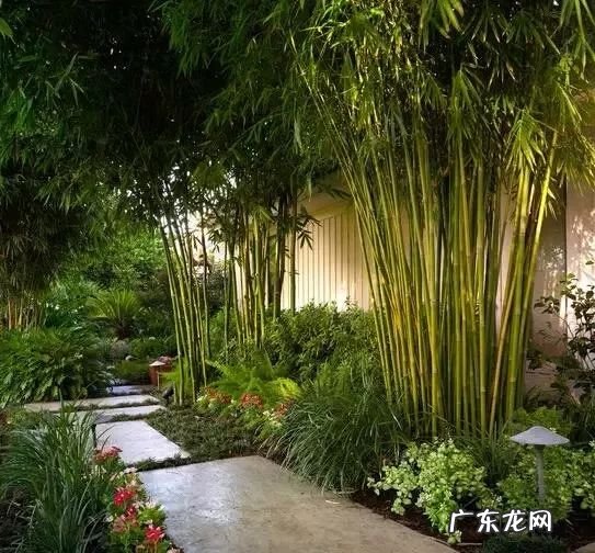 风水里面路表示水吗 路在风水学指的是什么