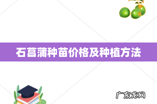 石菖蒲种苗价格及种植方法
