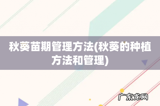 秋葵的种植方法和管理 秋葵苗期管理方法